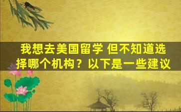 我想去美国留学 但不知道选择哪个机构？以下是一些建议